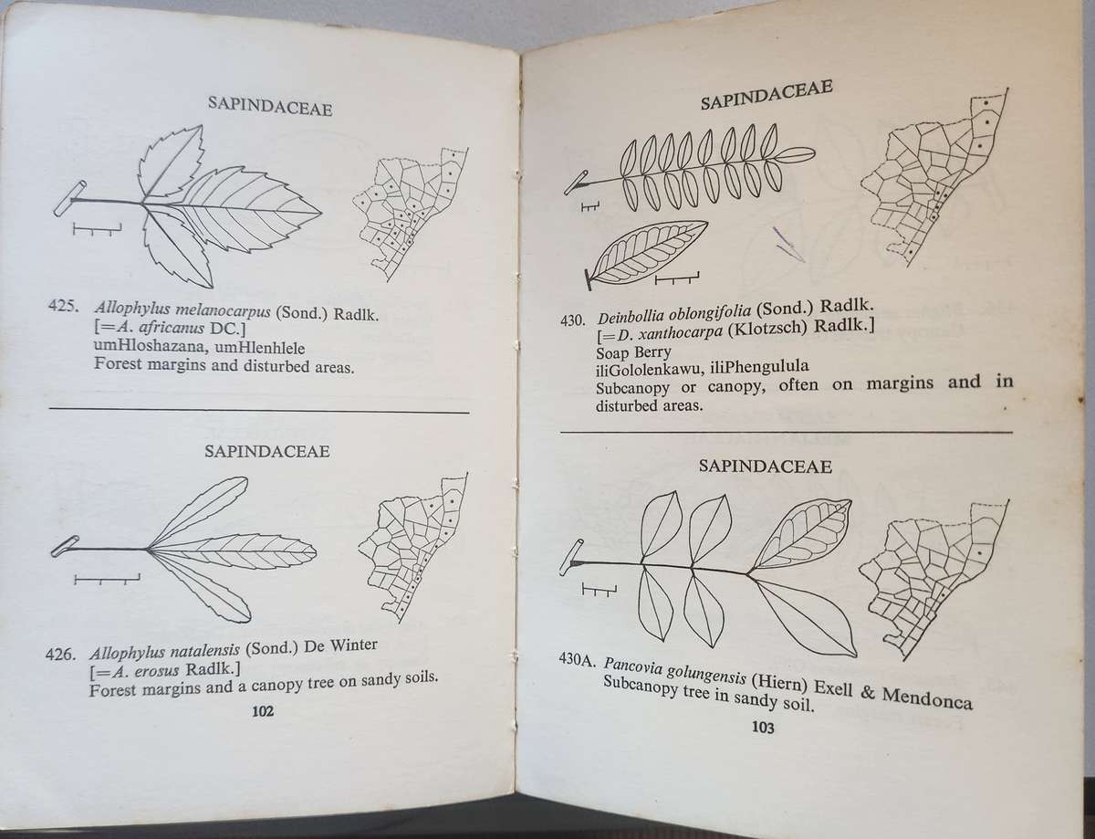 Forest trees of Natal - A field guide to 200 species