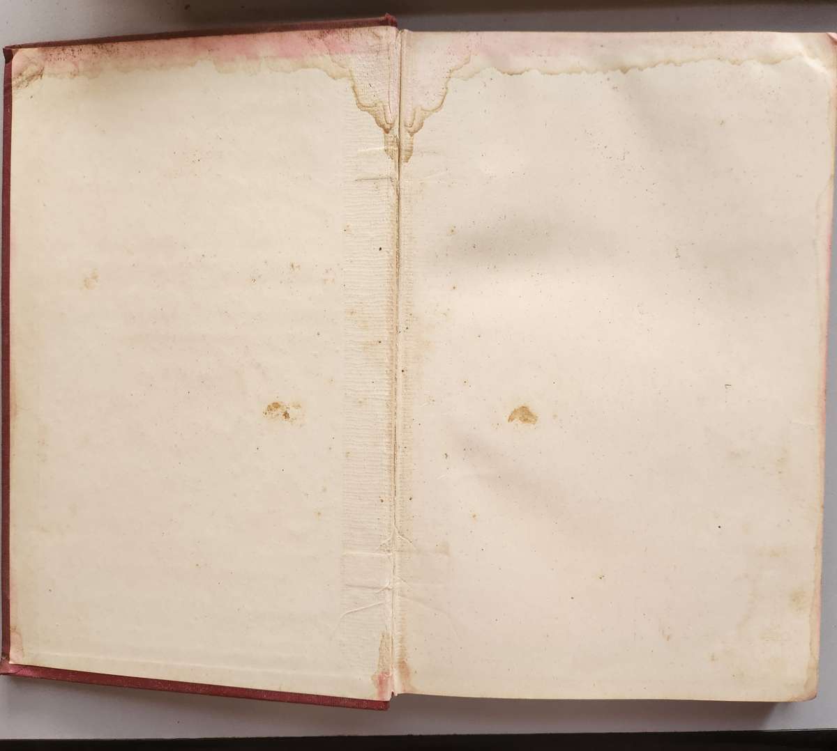 Horses Dogs Birds & Cattle (Animals treatment First Aid)