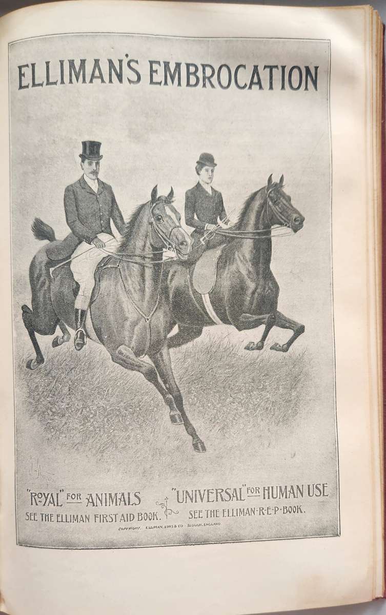 Horses Dogs Birds & Cattle (Animals treatment First Aid)