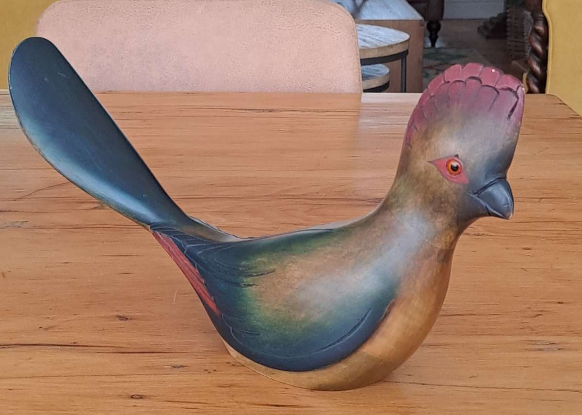 Feathers of Knysna 'Purple Crested Loerie'