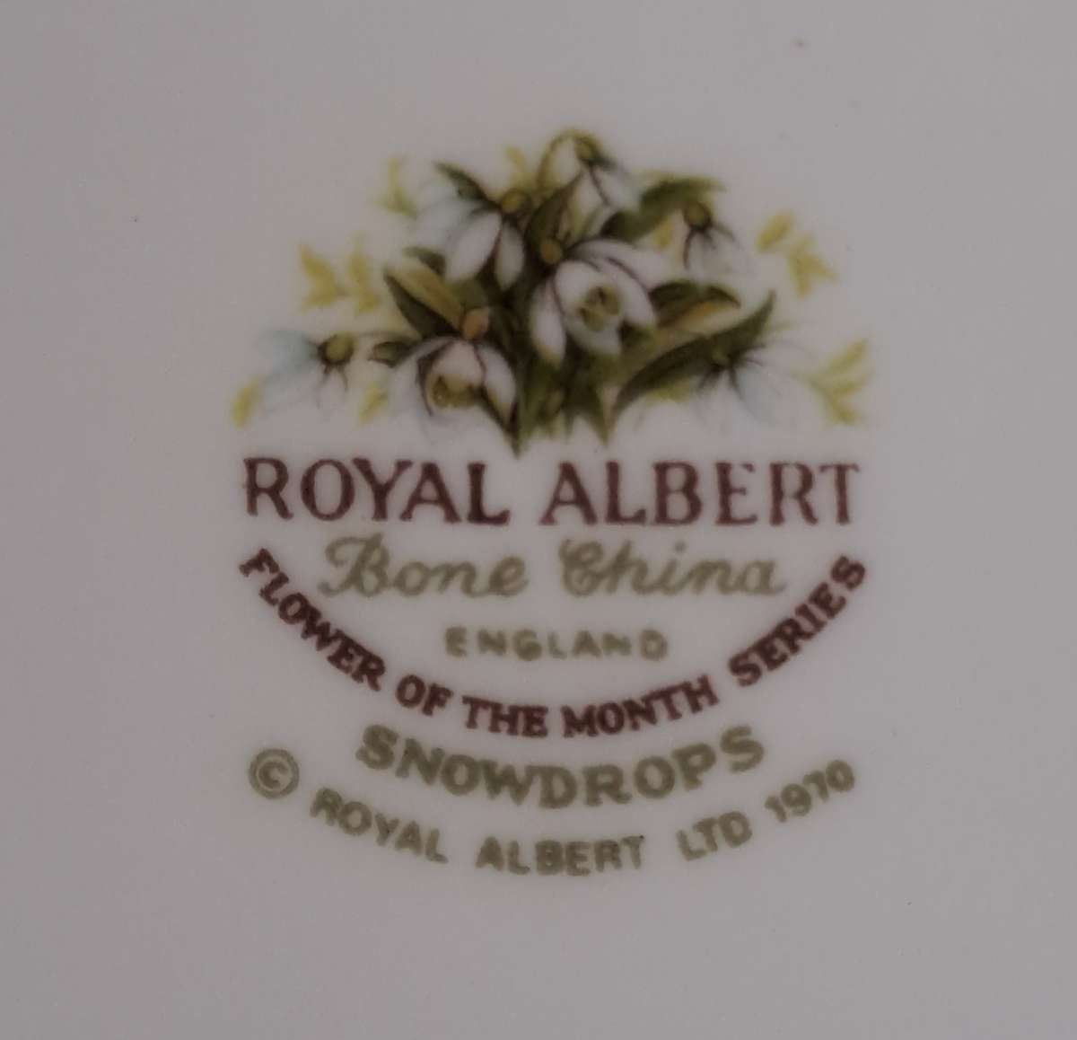 Royal Albert Flower of the Month Plate - January (16 cm)