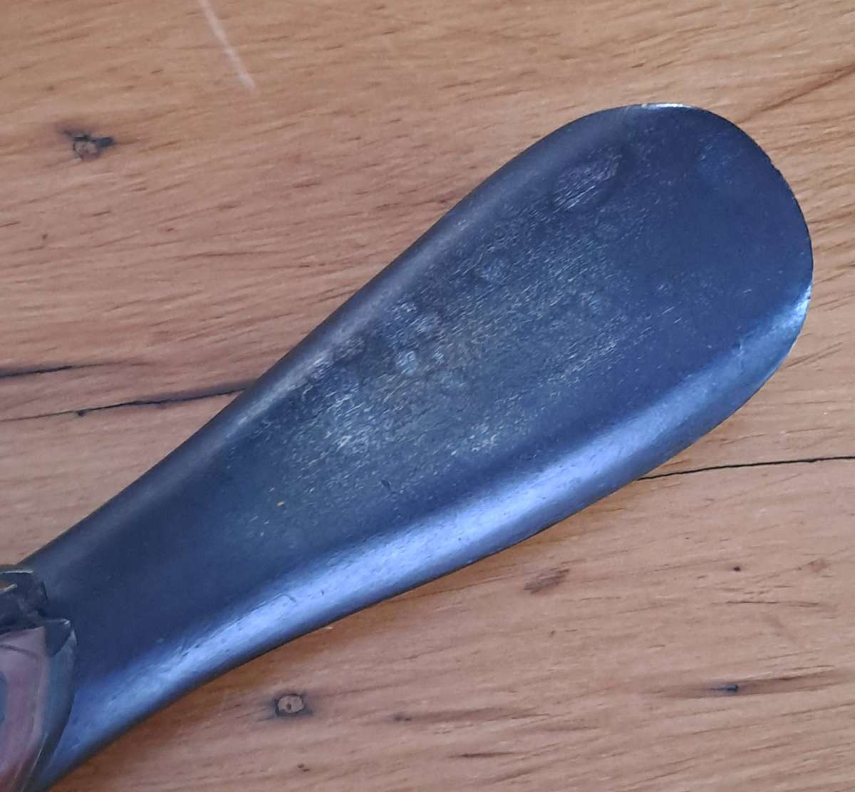 Feathers of Knysna Lourie