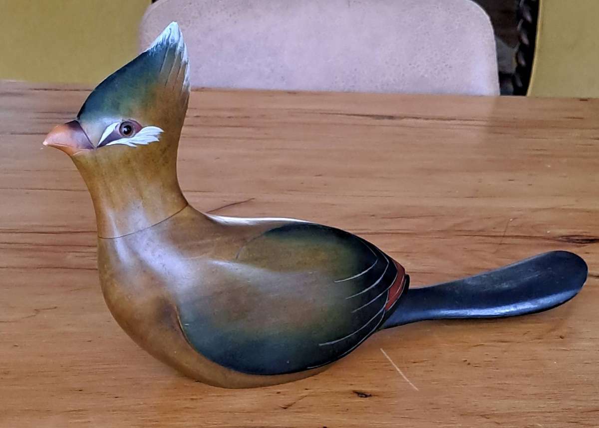 Feathers of Knysna Lourie