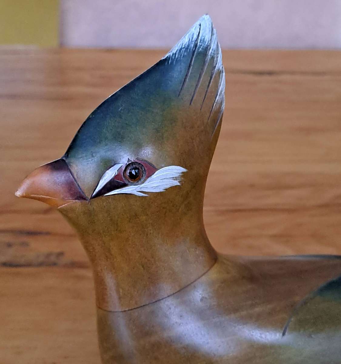 Feathers of Knysna Lourie