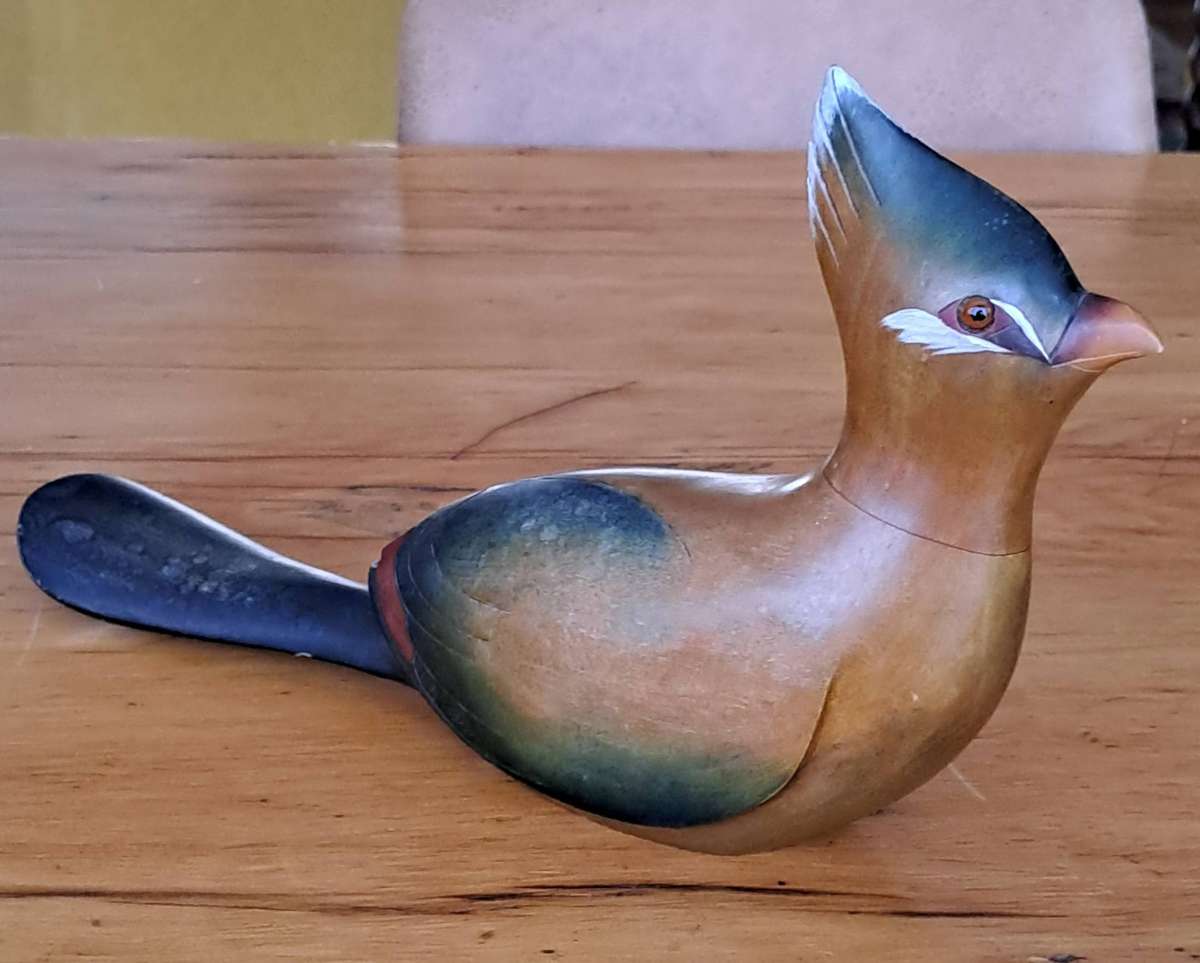 Feathers of Knysna Lourie