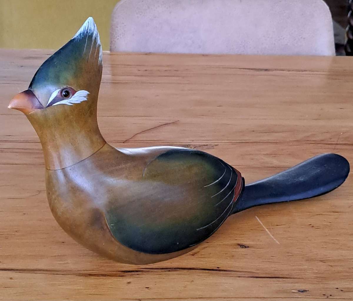 Feathers of Knysna Lourie