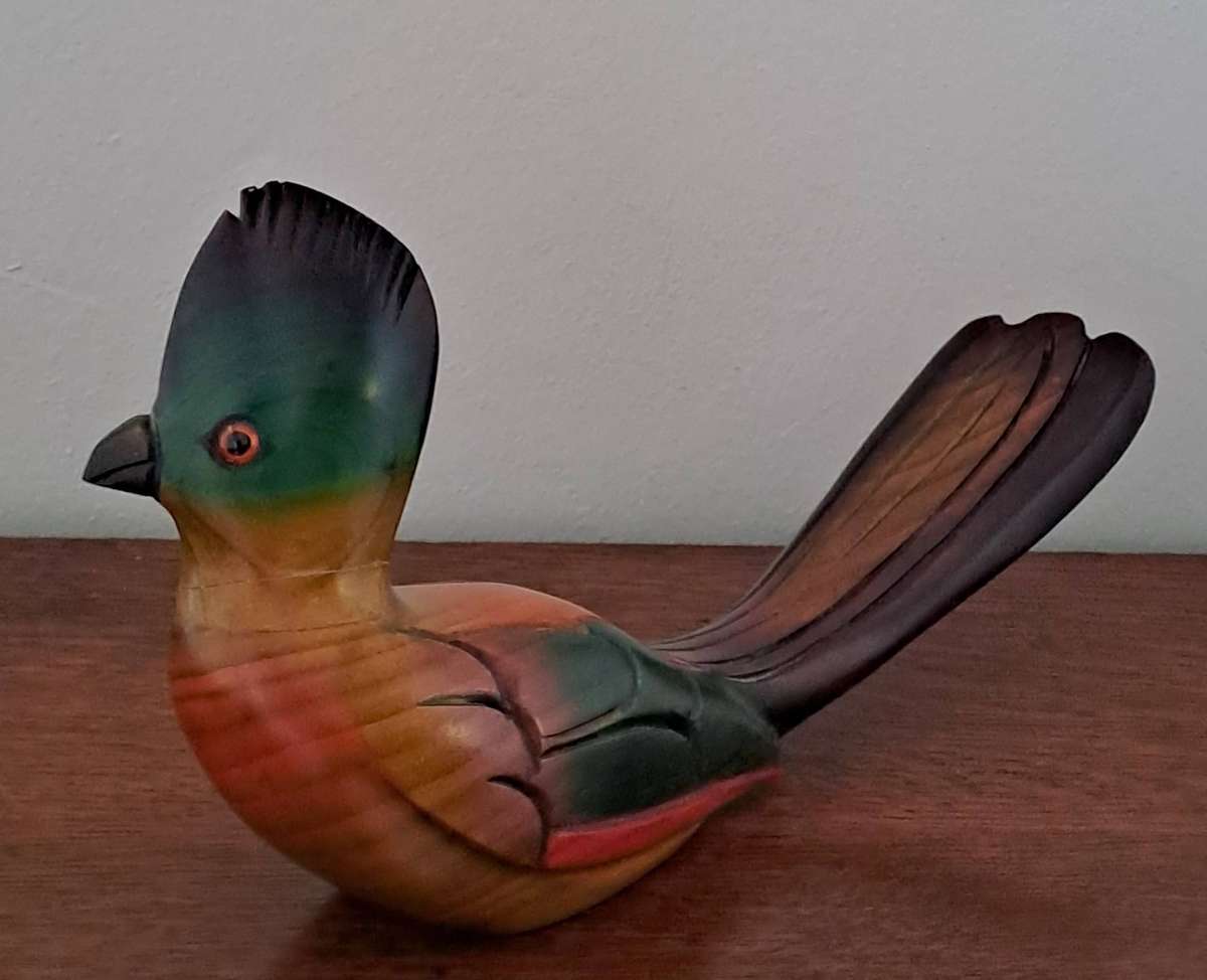 African Carvers Purple Crested Loerie