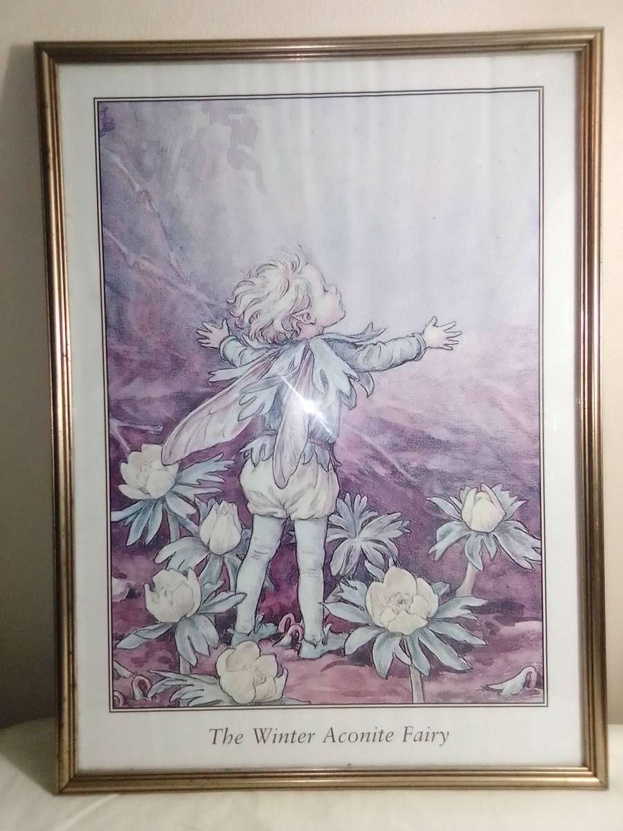 A very large wall hanging, Winter Aconite Fairy framed under glass in good condition.