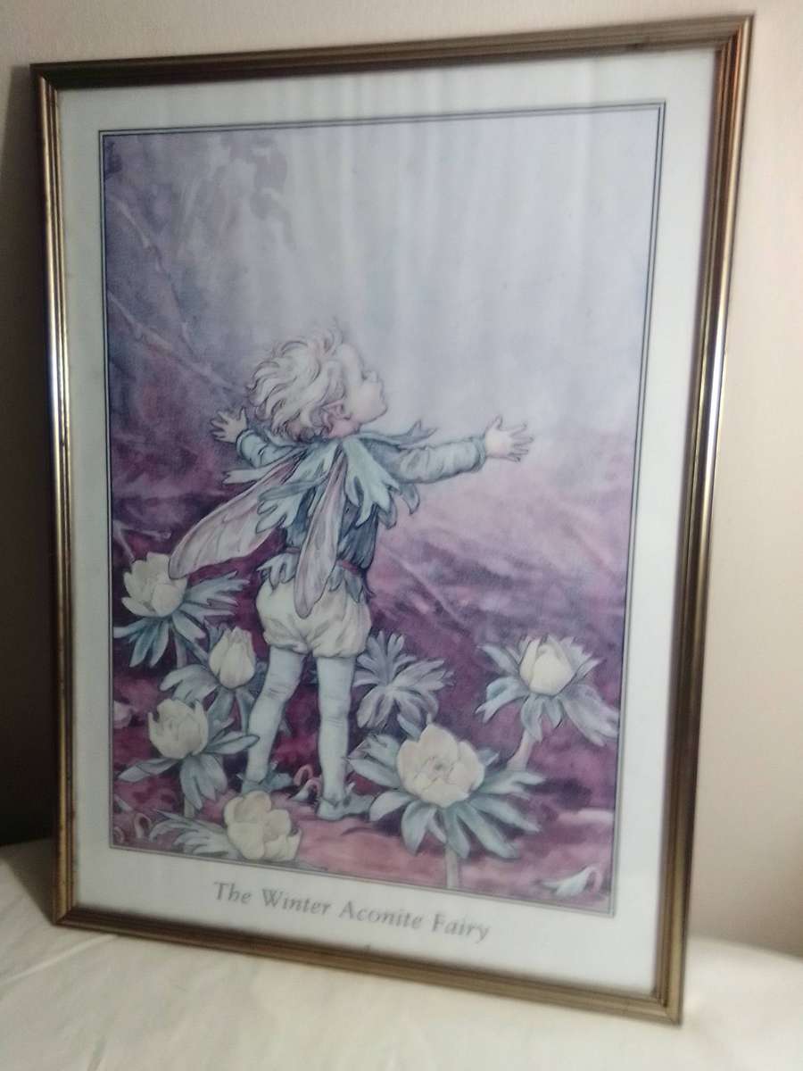 A very large wall hanging, Winter Aconite Fairy framed under glass in good condition.