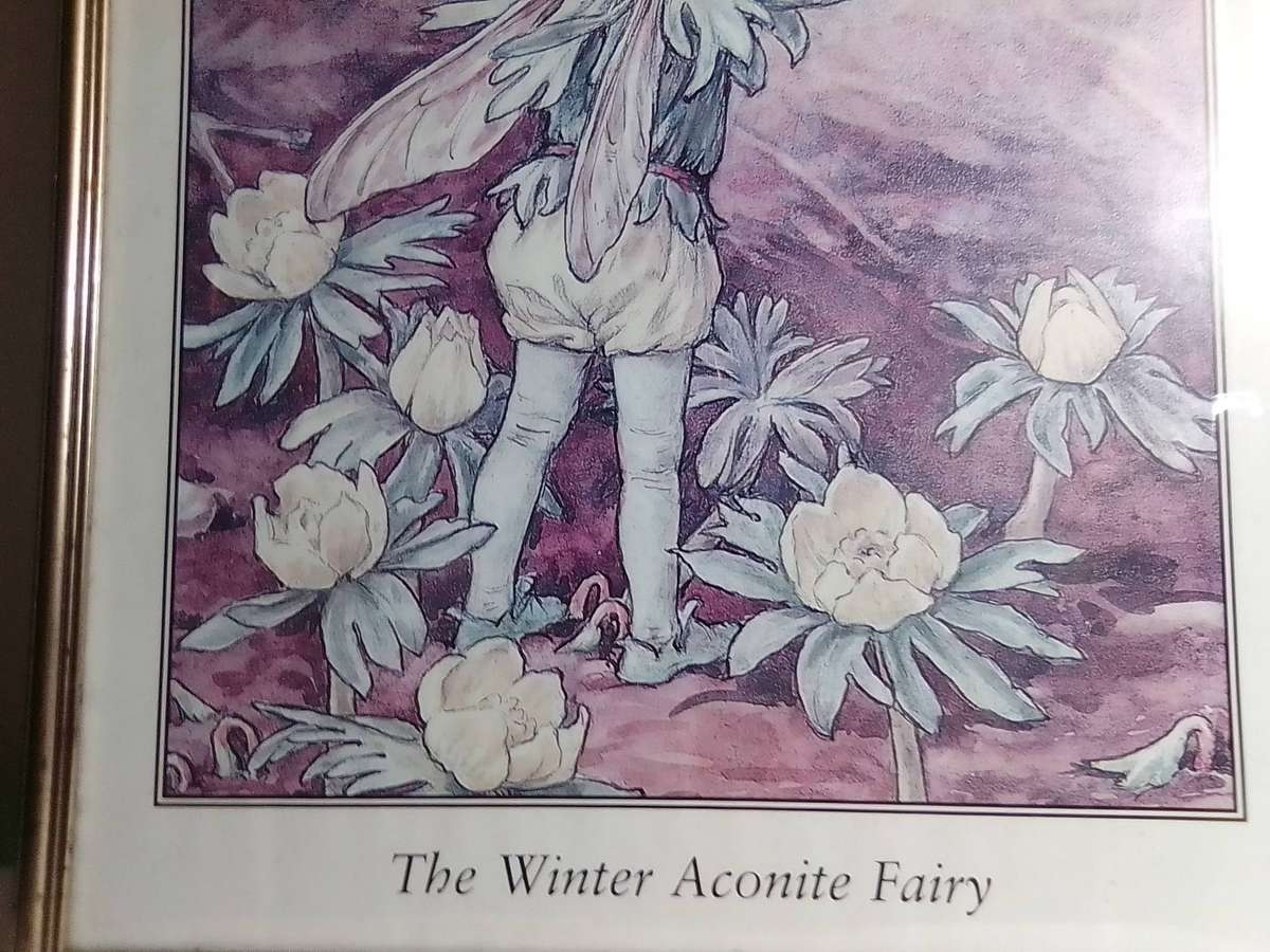 A very large wall hanging, Winter Aconite Fairy framed under glass in good condition.