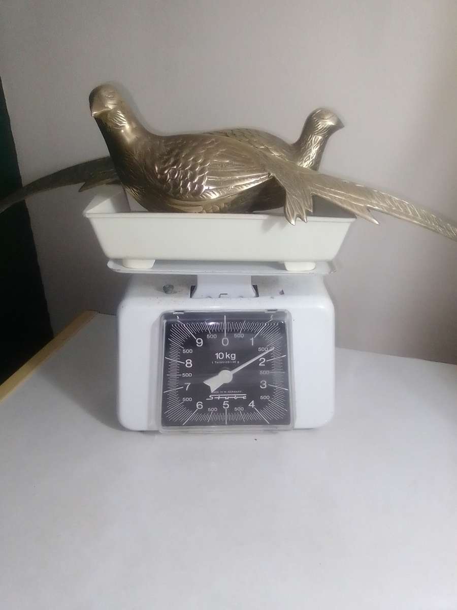 Wow a pair of heavy-duty brass Pheasants.  Antique French cast brass Pheasants.