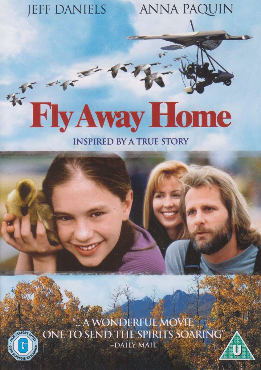 Fly Away Home (DVD)