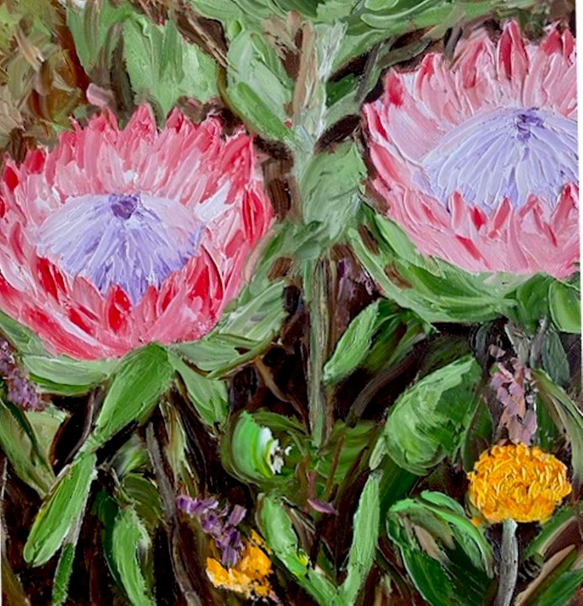 Protea in the Valley, oil painting by Mary Papas