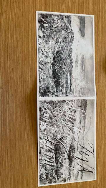 Zeno Landscape 1 and 2, William Kentridge Invitation
