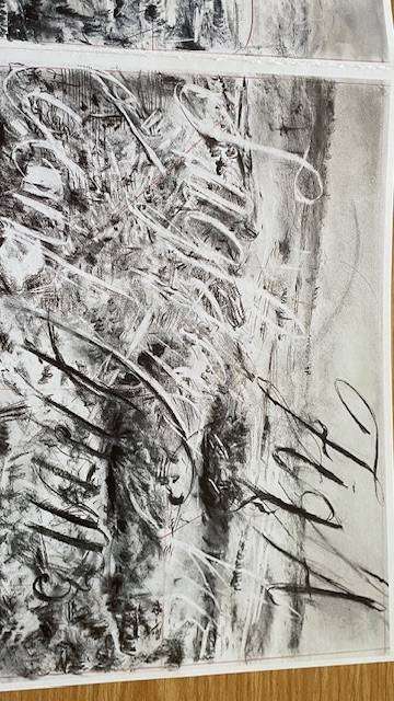 Zeno Landscape 1 and 2, William Kentridge Invitation