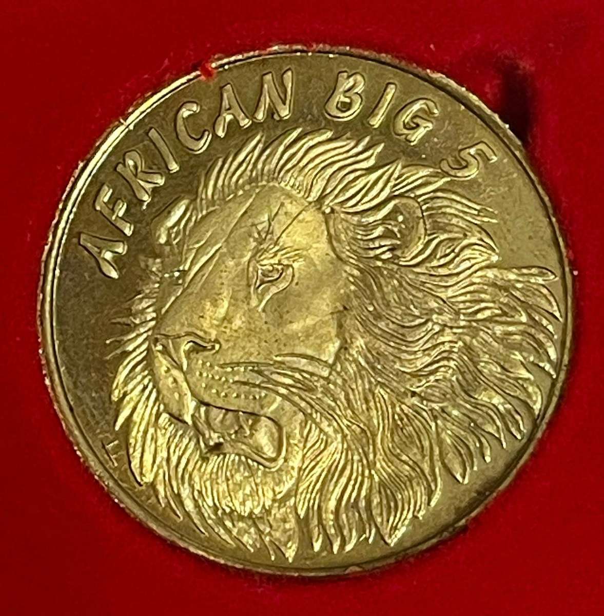 The Big 5 Brass Medallion Set