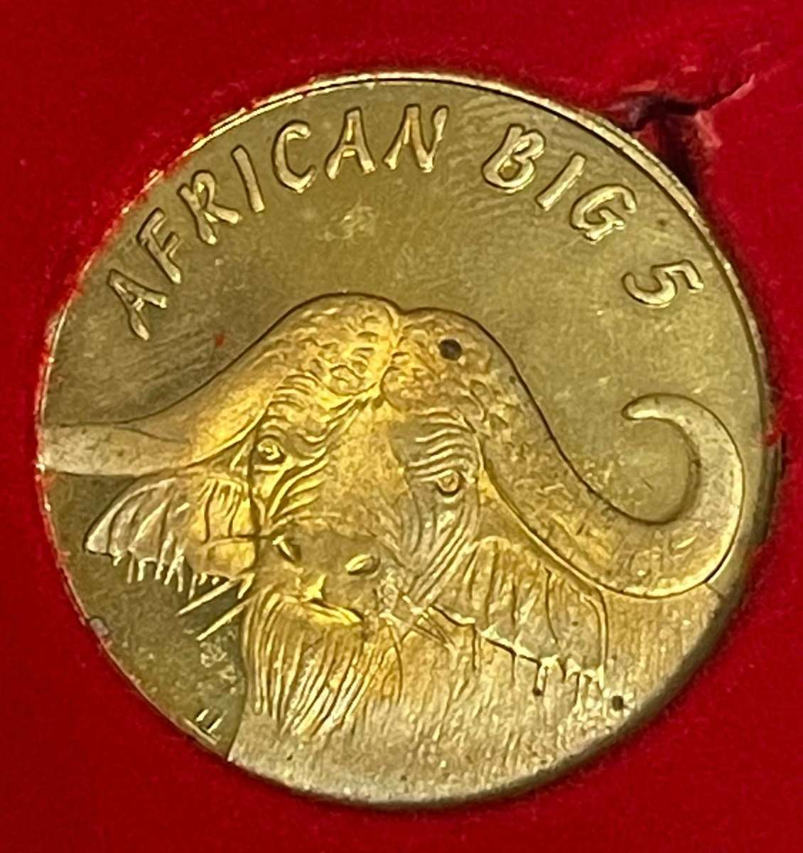 The Big 5 Brass Medallion Set