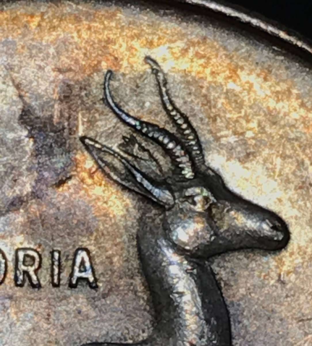 1966 Afr TAG EAR South Africa .800 Silver R1 (Spot R460)