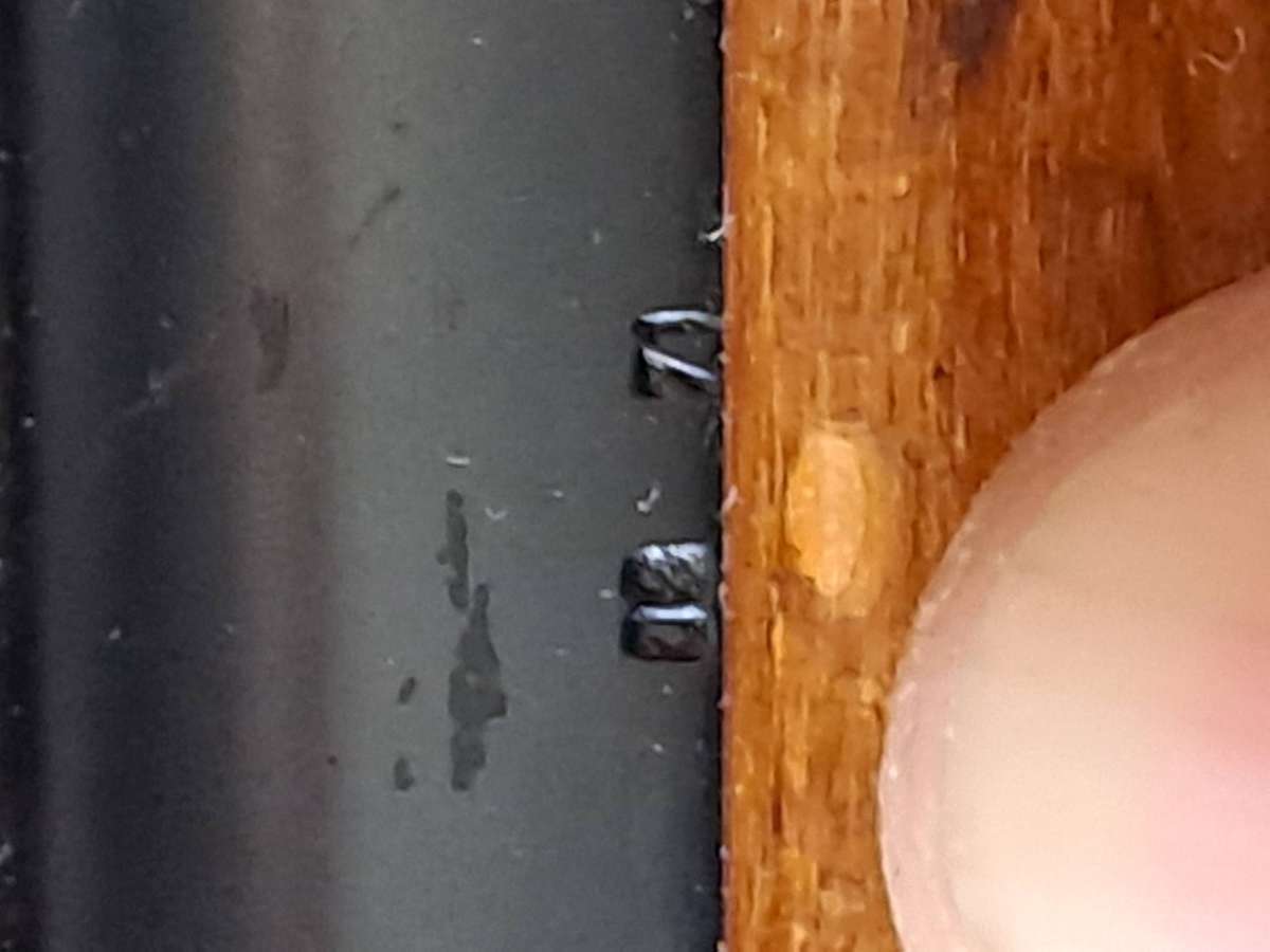 Air rifle Diana model 35 in good condition