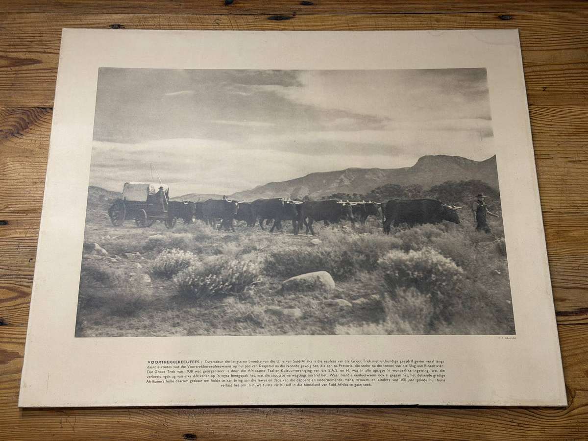 Large 1938 Voortrekker Centenary Commemorative Ox-Wagon Print (56 cm x 45.5 cm)