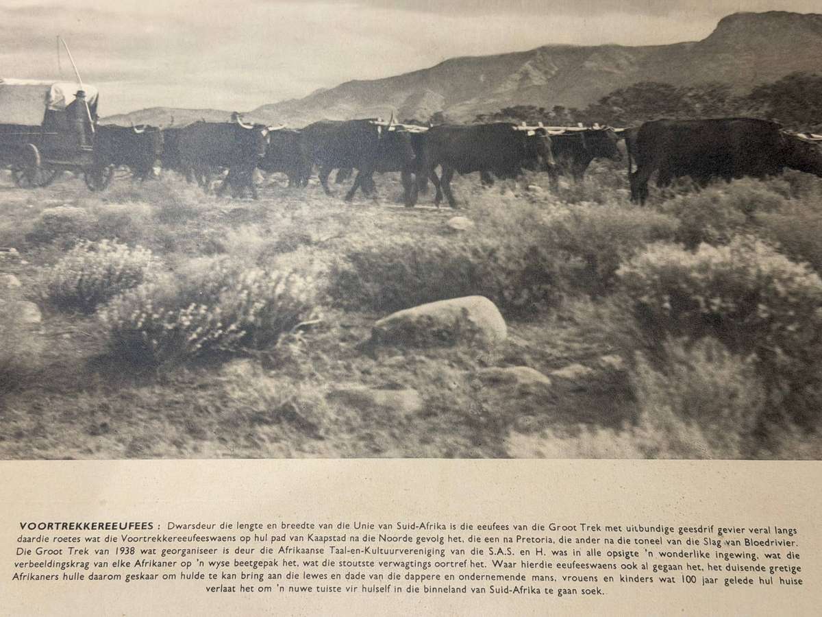 Large 1938 Voortrekker Centenary Commemorative Ox-Wagon Print (56 cm x 45.5 cm)