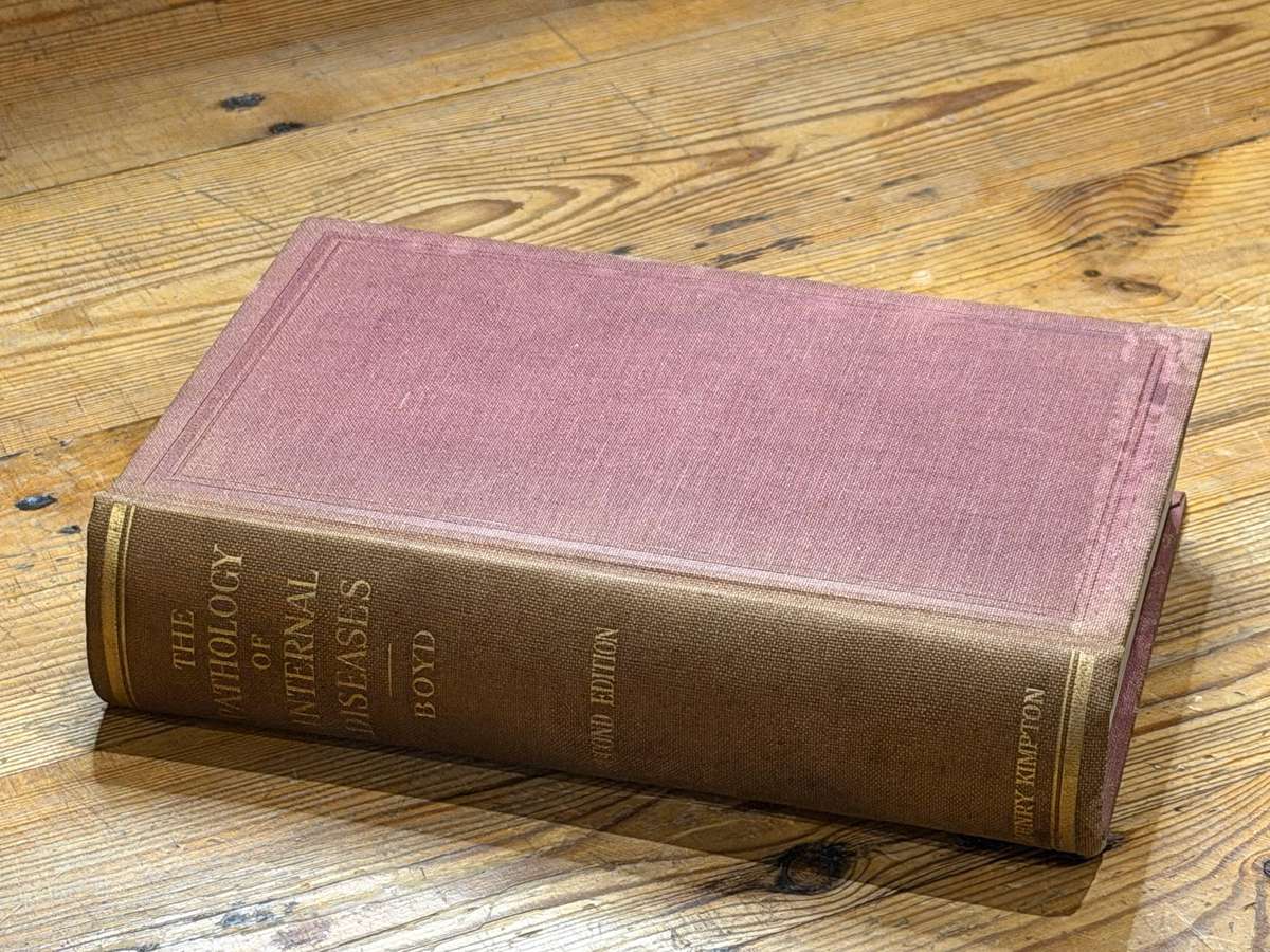 Mixed Lot Of Antique, Vintage & Modern Books