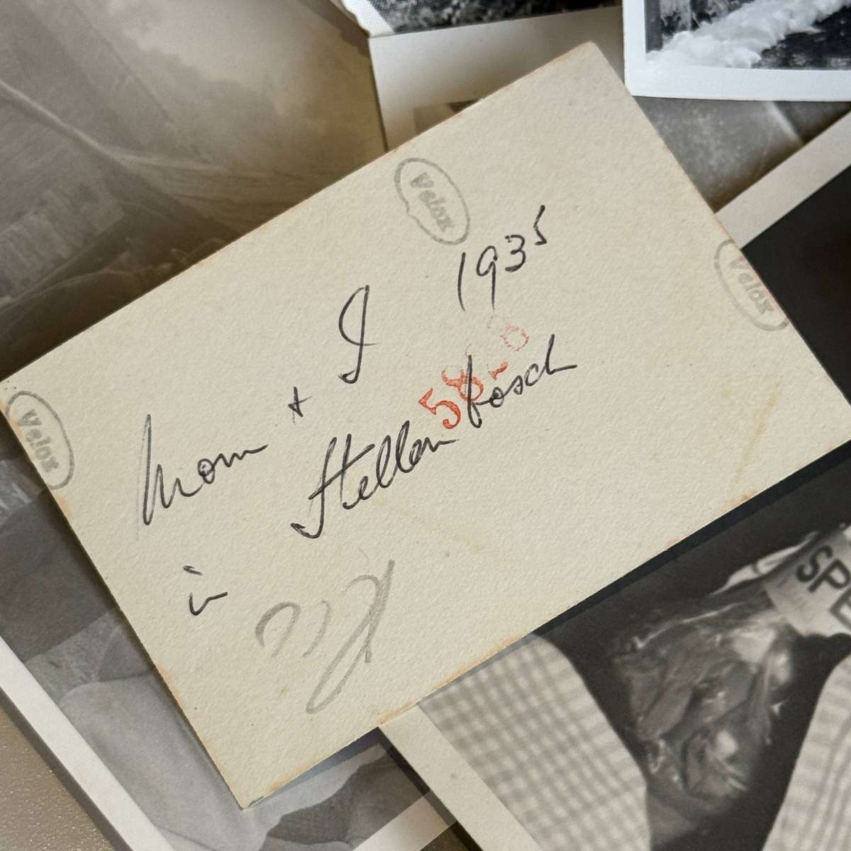 100x Vintage Photographs (South Africa, Stellenbosch & Other) Lot 2