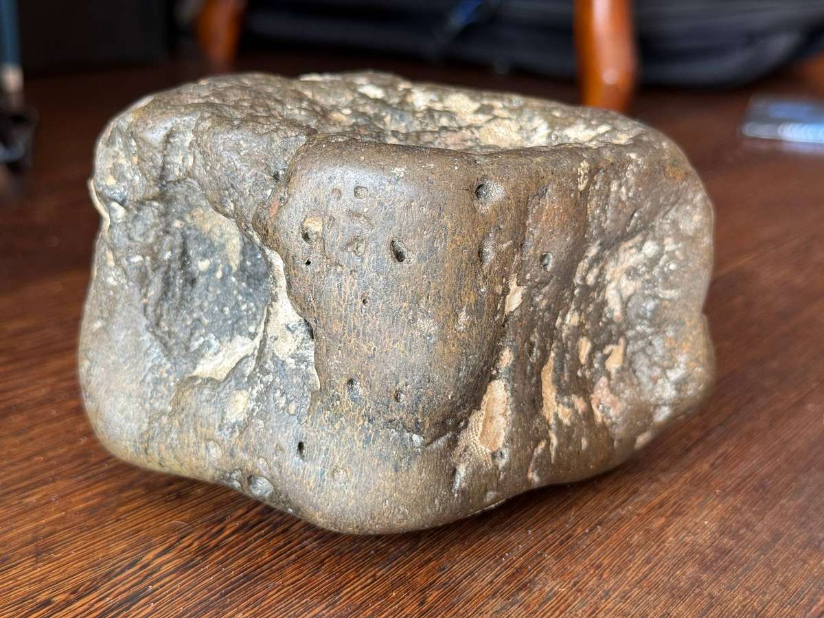 Fossil - 14cm x 10cm x 8cm 1.471kg