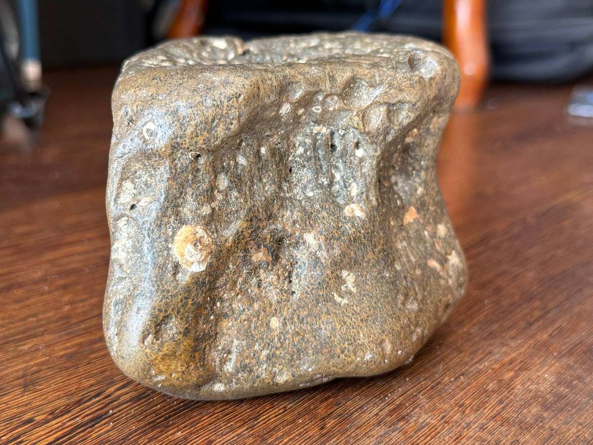 Fossil - 14cm x 10cm x 8cm 1.471kg