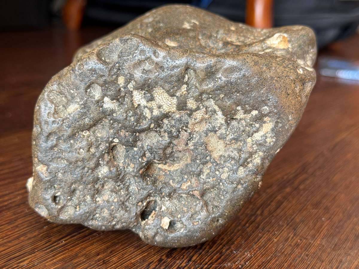 Fossil - 14cm x 10cm x 8cm 1.471kg