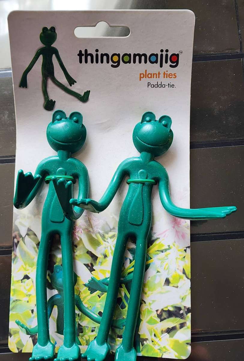 FROGs, pair of GREEN Plant holders, on card, Brand new "Thingamajij" branded -gorgeous, practical