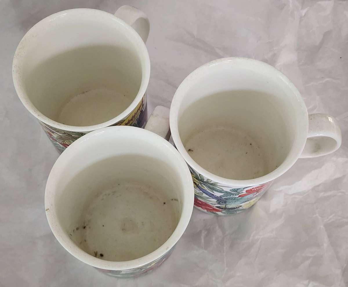 Set of 3 MUGS- "ROYAL WINCHESTER BONE CHINA, ENGLAND" featuring Birds and FLOWERs, STUNNING TRIO