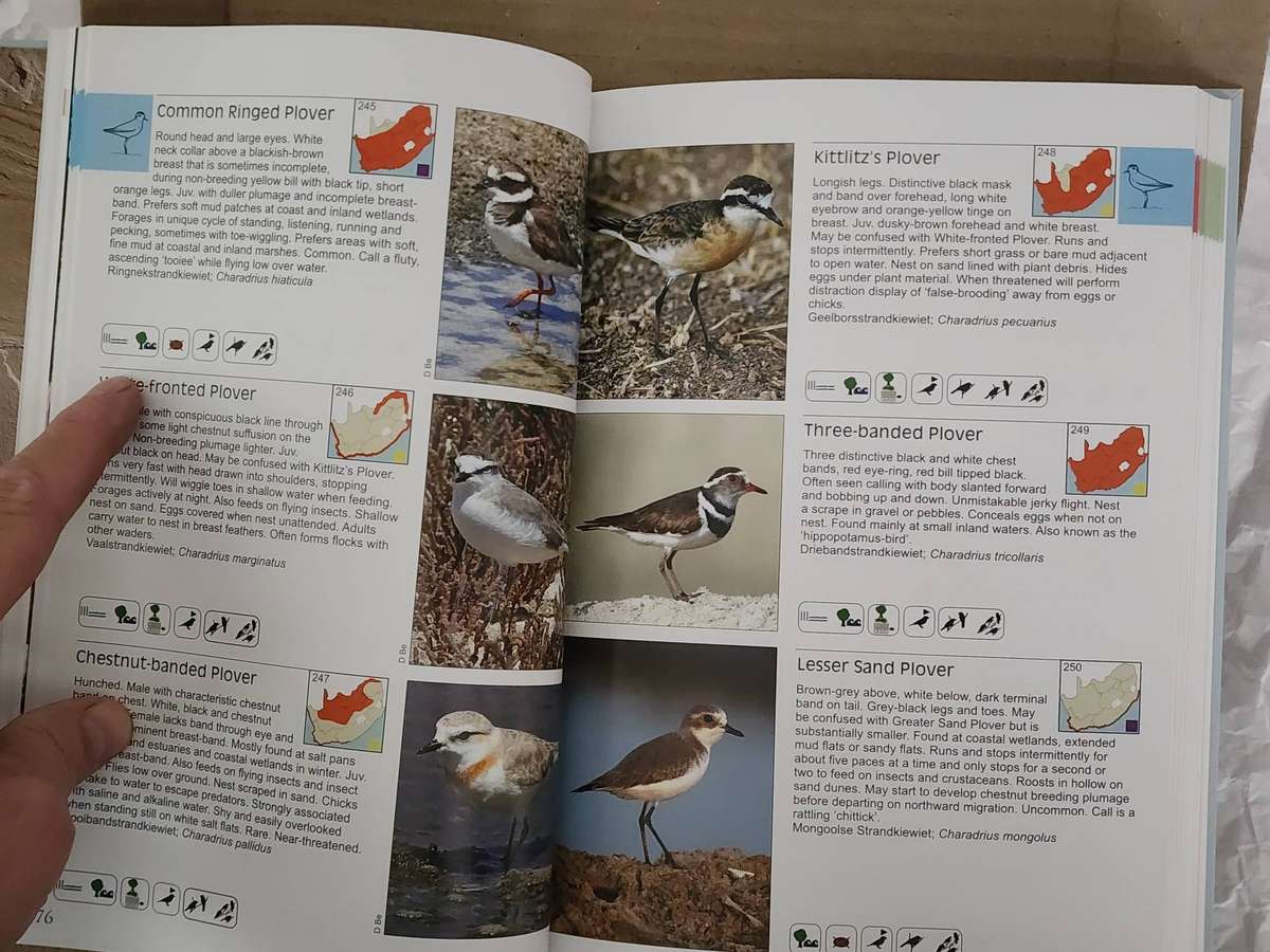 SAPPI BIRD BOOK and "CALL FINDER SET"- brand new BOXED and SUPERB Bird book and Bird CALL SOUND rec