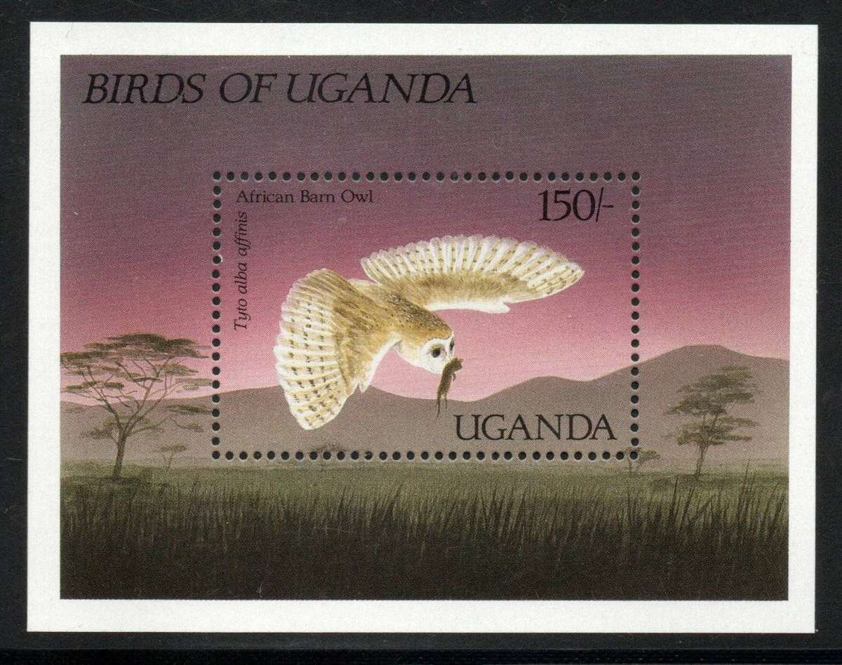 Uganda 1987 Birds Barn Owl 150/- mini sheet unmounted mint. SG MS595B. Cat £4 (2012)