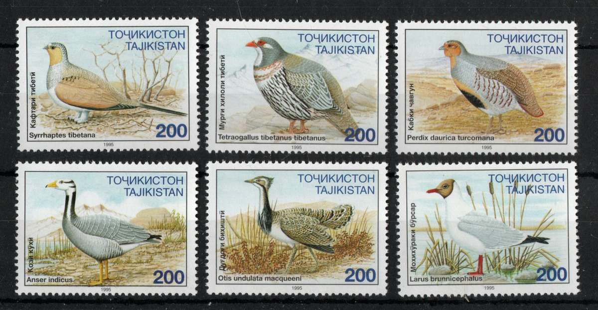 Tajikistan 1996 Birds set of 6 unmounted mint. SG 80-85. Cat £9 (2013)