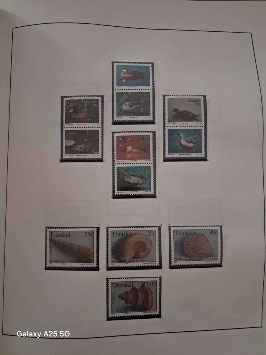 HOMELANDS TBVC states, DAVO album, mint, full sets and mini sheets   CAT GBP 125