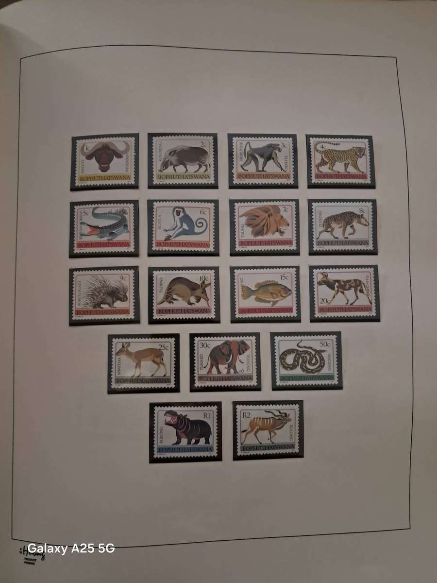 HOMELANDS TBVC states, DAVO album, mint, full sets and mini sheets   CAT GBP 125