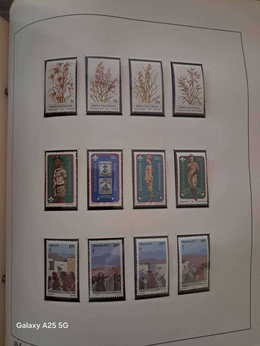 HOMELANDS TBVC states, DAVO album, mint, full sets and mini sheets   CAT GBP 125