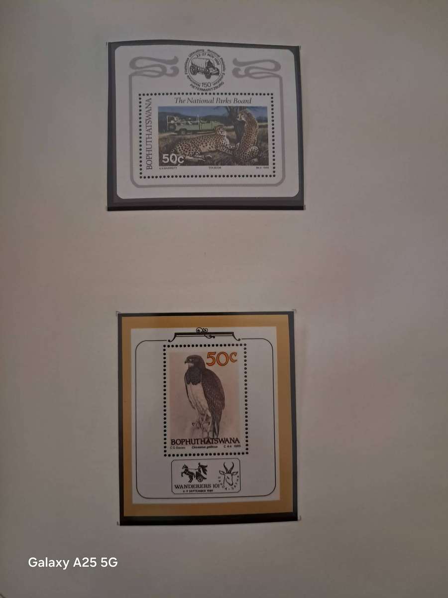 HOMELANDS TBVC states, DAVO album, mint, full sets and mini sheets   CAT GBP 125