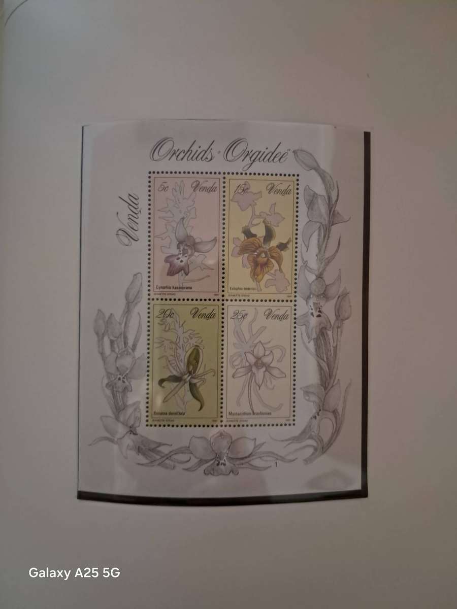 HOMELANDS TBVC states, DAVO album, mint, full sets and mini sheets   CAT GBP 125