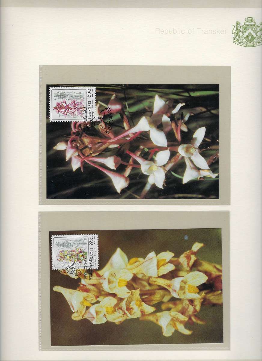 TRANSKEI TBV states  1985/94, mm, stamps and envelopes in arch folder, 30+ pages   CAT R 500