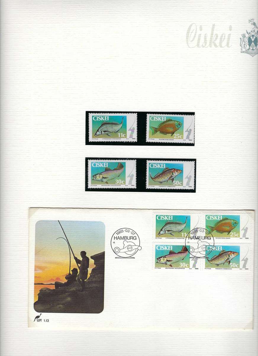 CISKEI TBV 1985 collection of envelopes and stamps, mm, in arch folder, 35+ pages  CAT R 900