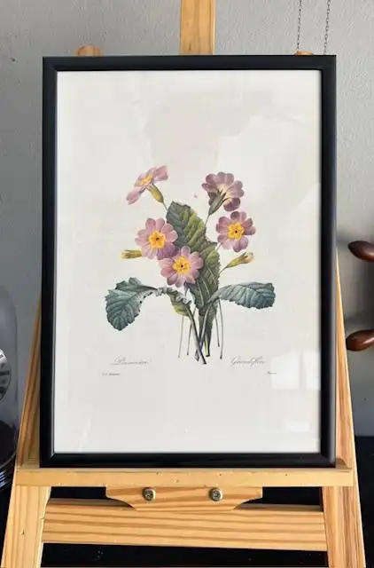 8pcs Vintage Botanical Illustration Posters - 35x28cm Framed Art Prints with Wooden Frames
