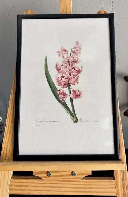 8pcs Vintage Botanical Illustration Posters - 35x28cm Framed Art Prints with Wooden Frames