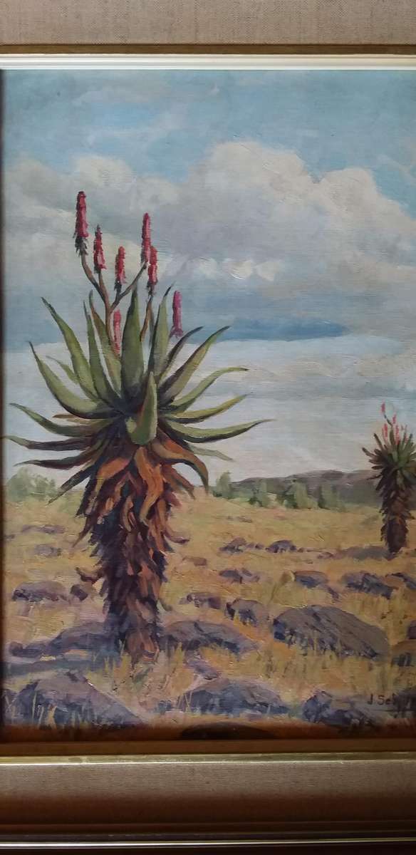 Painting Aloe Bushveld