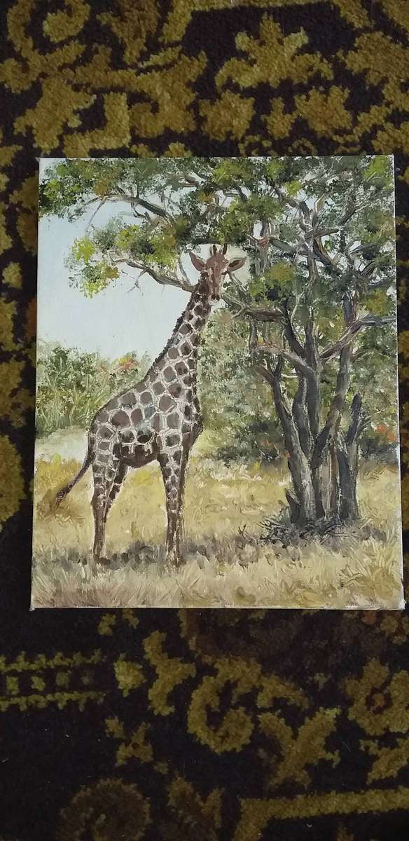 5 x Oil on Boards NO FRAMES