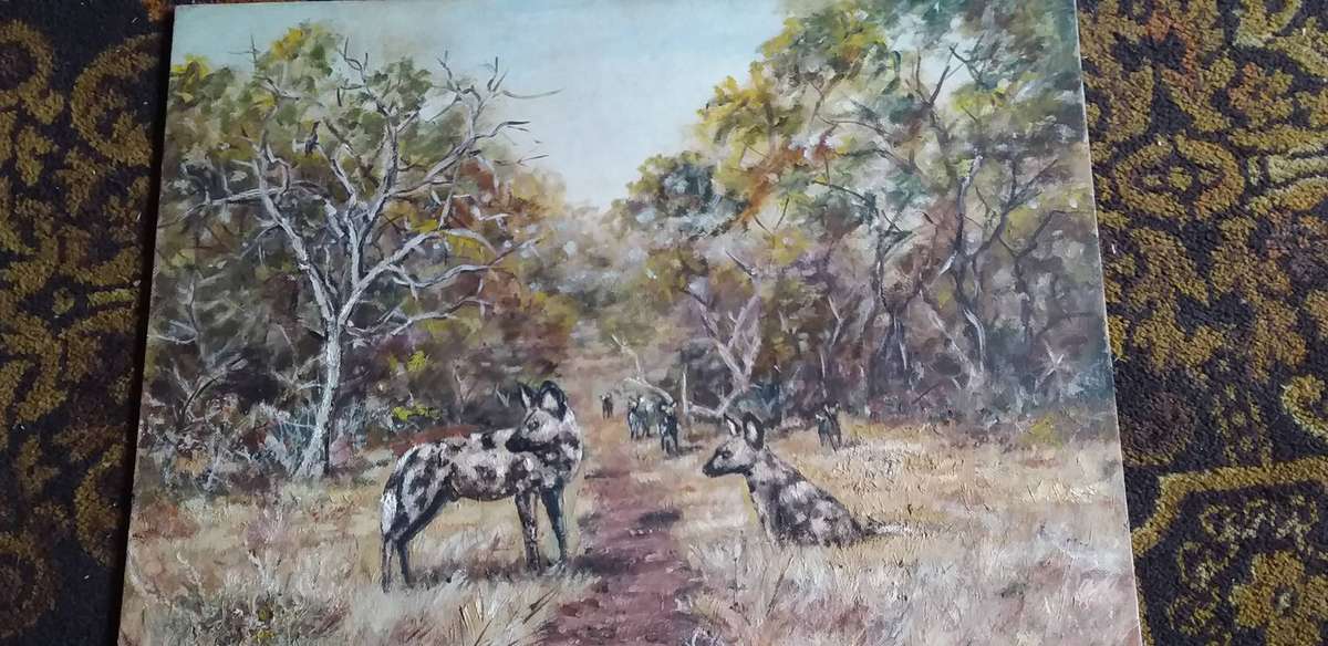 5 x Oil on Boards NO FRAMES