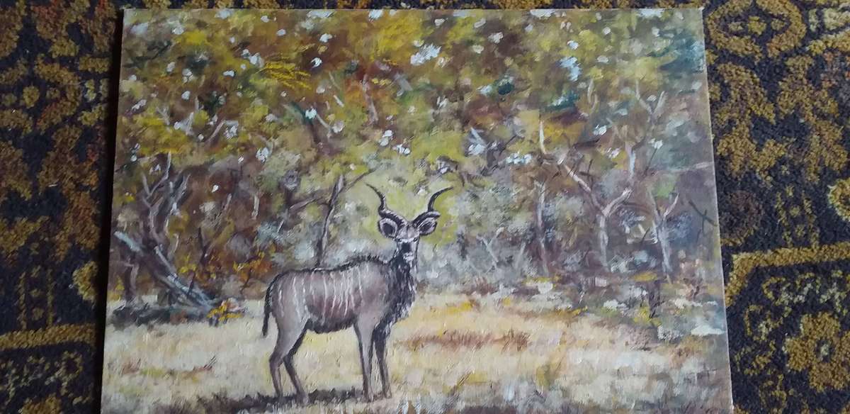 5 x Oil on Boards NO FRAMES