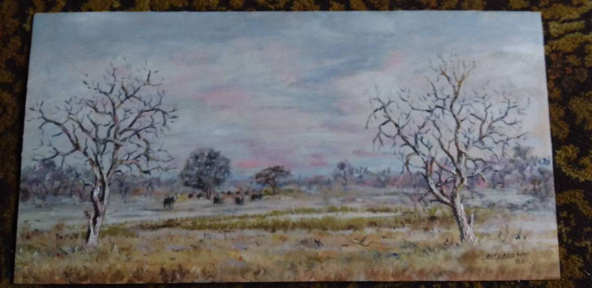 5 x Oil on Boards NO FRAMES