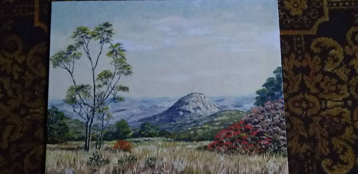 4 x Oil on Boards NO FRAMES